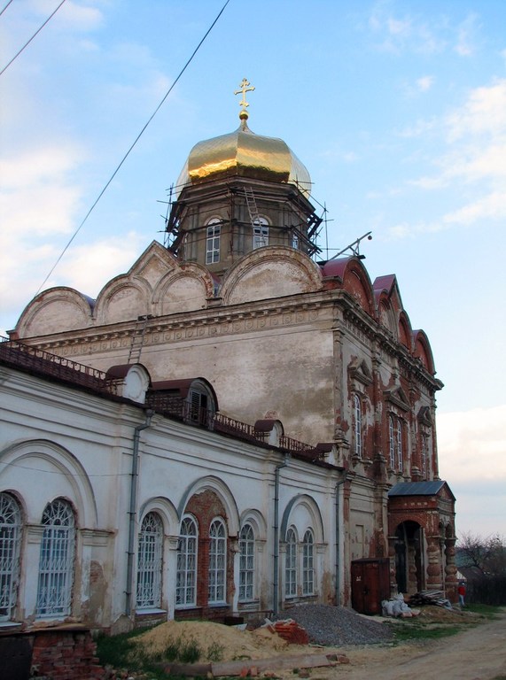 Храм Рождества Христова (Христорождественский, Спасовский). Липецкая область, Елец. Весна 2011 года.