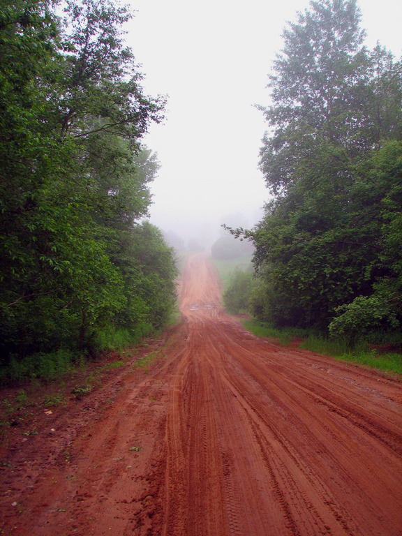 Прионежье. Лето 2008.