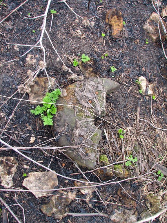 Заброшенное село Хрущево. Липецкая область. 2011 год.