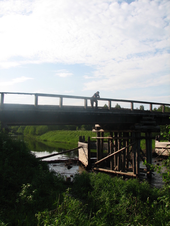 Вологодская область, место д. Берег. Лето 2009.