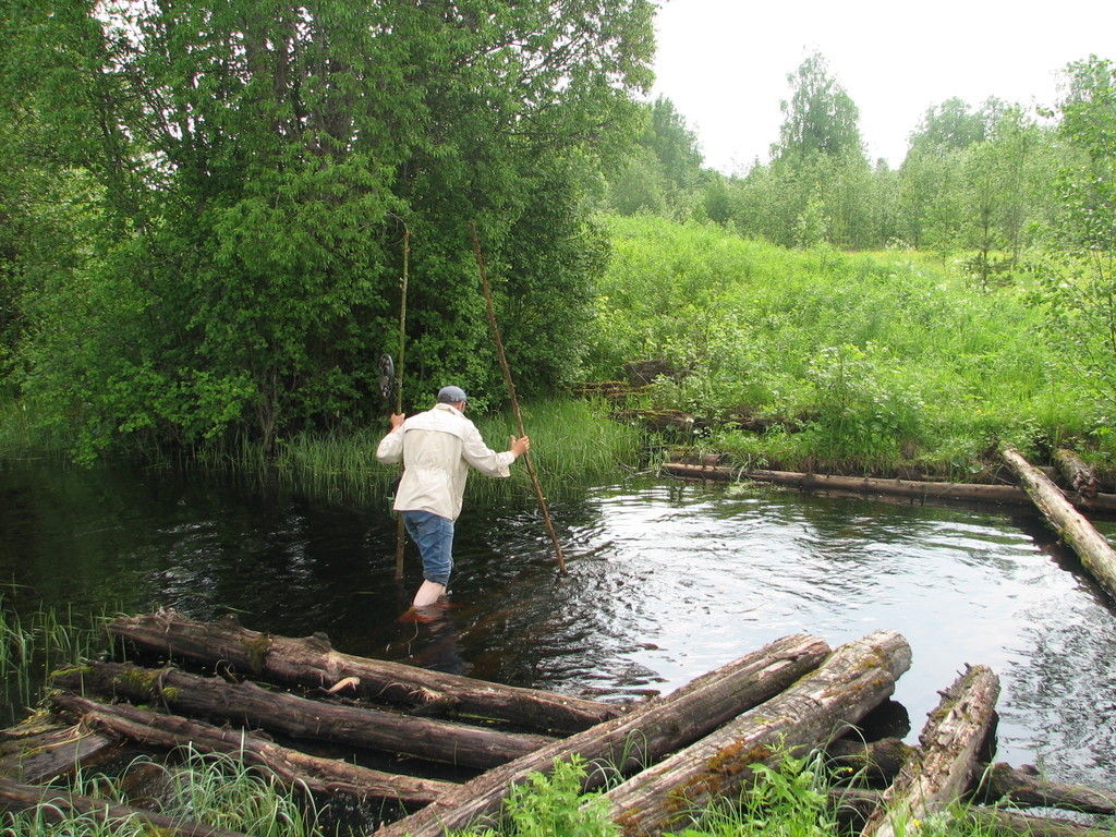 Вологодская область. Лето 2009.