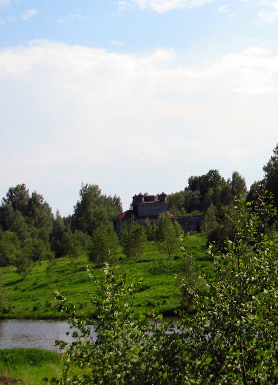 Вологодская область. Бадожский погост на берегу реки Ваткома. Лето 2009.