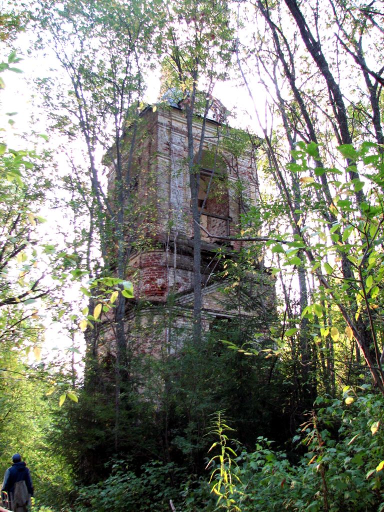 Костромская область, ур. Высоково. Осень 2009.
