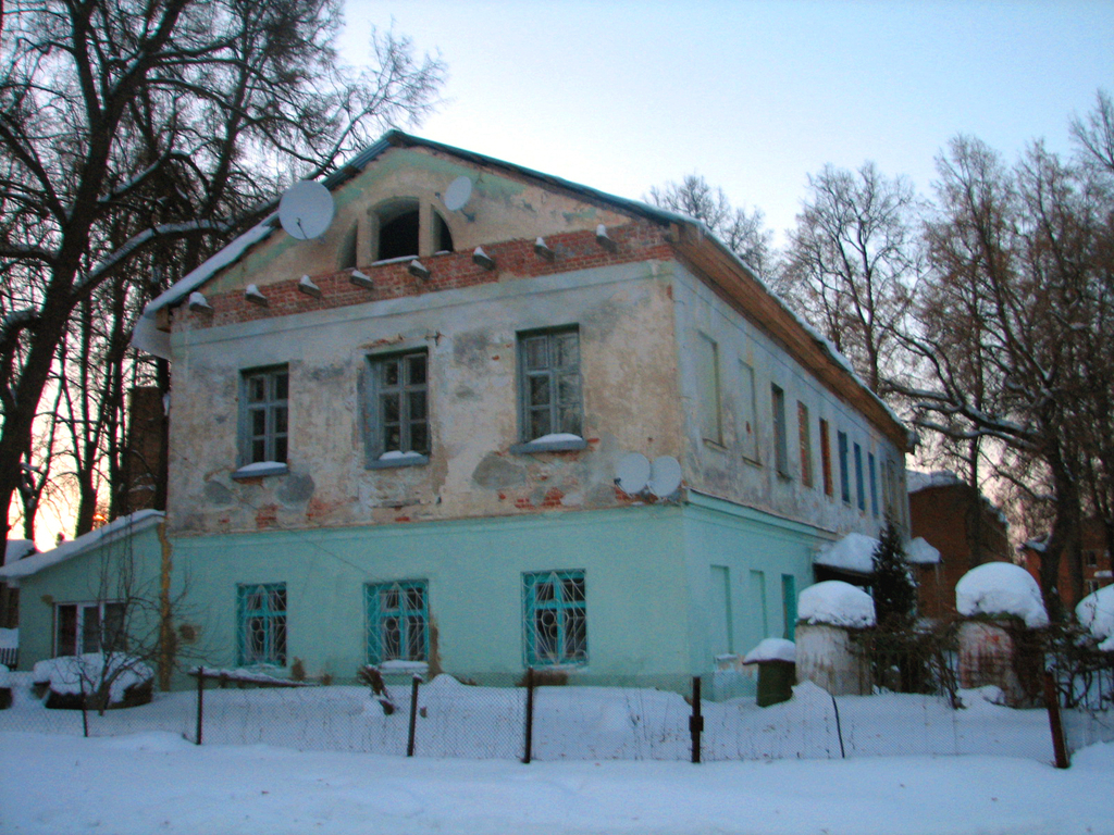 Тульская область. Замок в Колосово. Зима 2011.