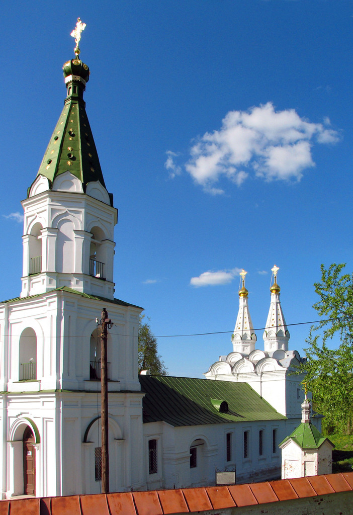 Рязанский кремль. Весна 2011.