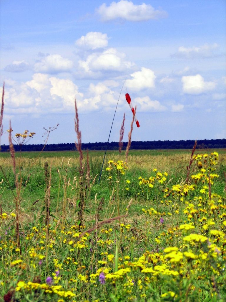Московская область. Параплан. Лето 2009.