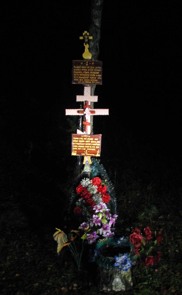 Московская обл., Орехово-Зуевский р-н, Леонтьевский скит близ д. Беливо. Осень 2008.
