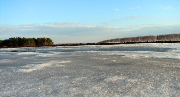 Весна. Тульская область. 2011 год.