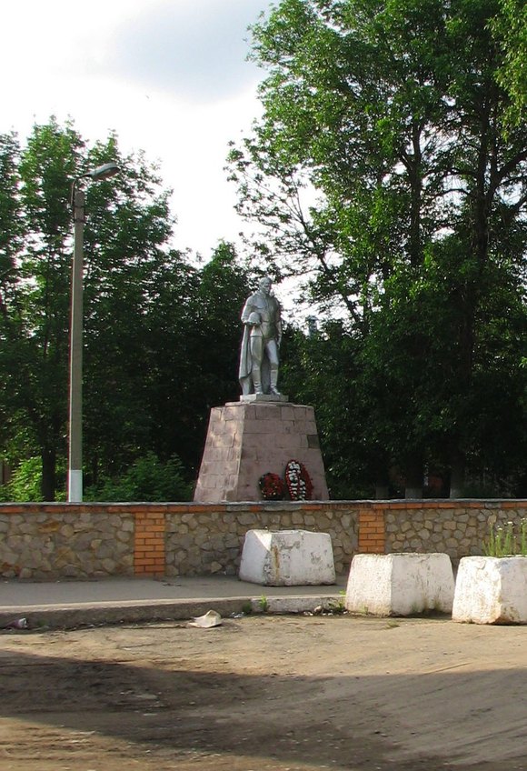 Рязанская область, Михайловский район, г. Михайлов. Лето 2012.