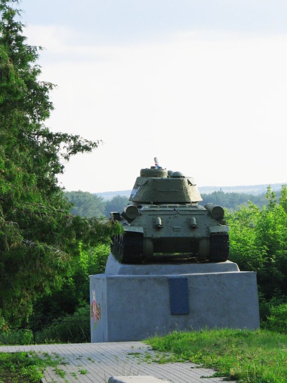 Рязанская область, Михайловский район, г. Михайлов. Лето 2012.