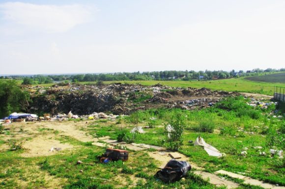 Рязанская область, Михайловский район, район д. Печерники. Лето 2012.