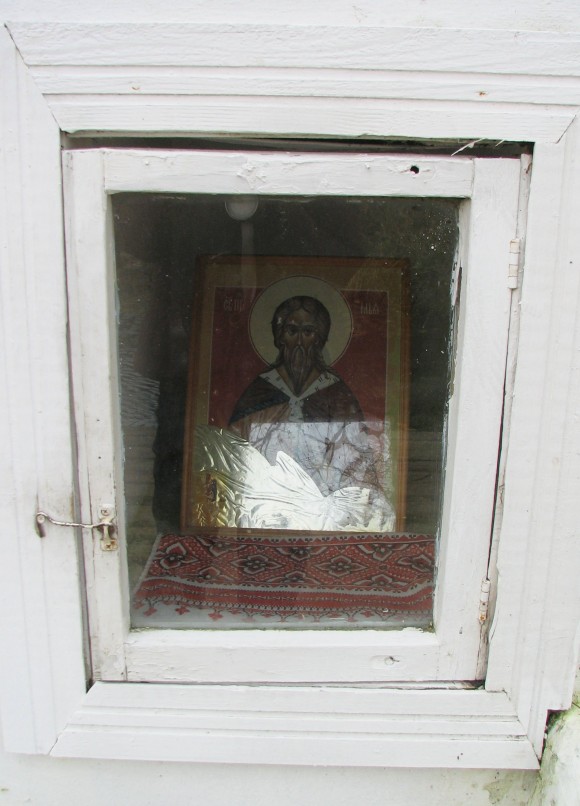 Рязанская обл., Шиловский р-н, ур. Ильинский источник (~1 км. на ЮВ от д. Ерахтур). Осень 2012.