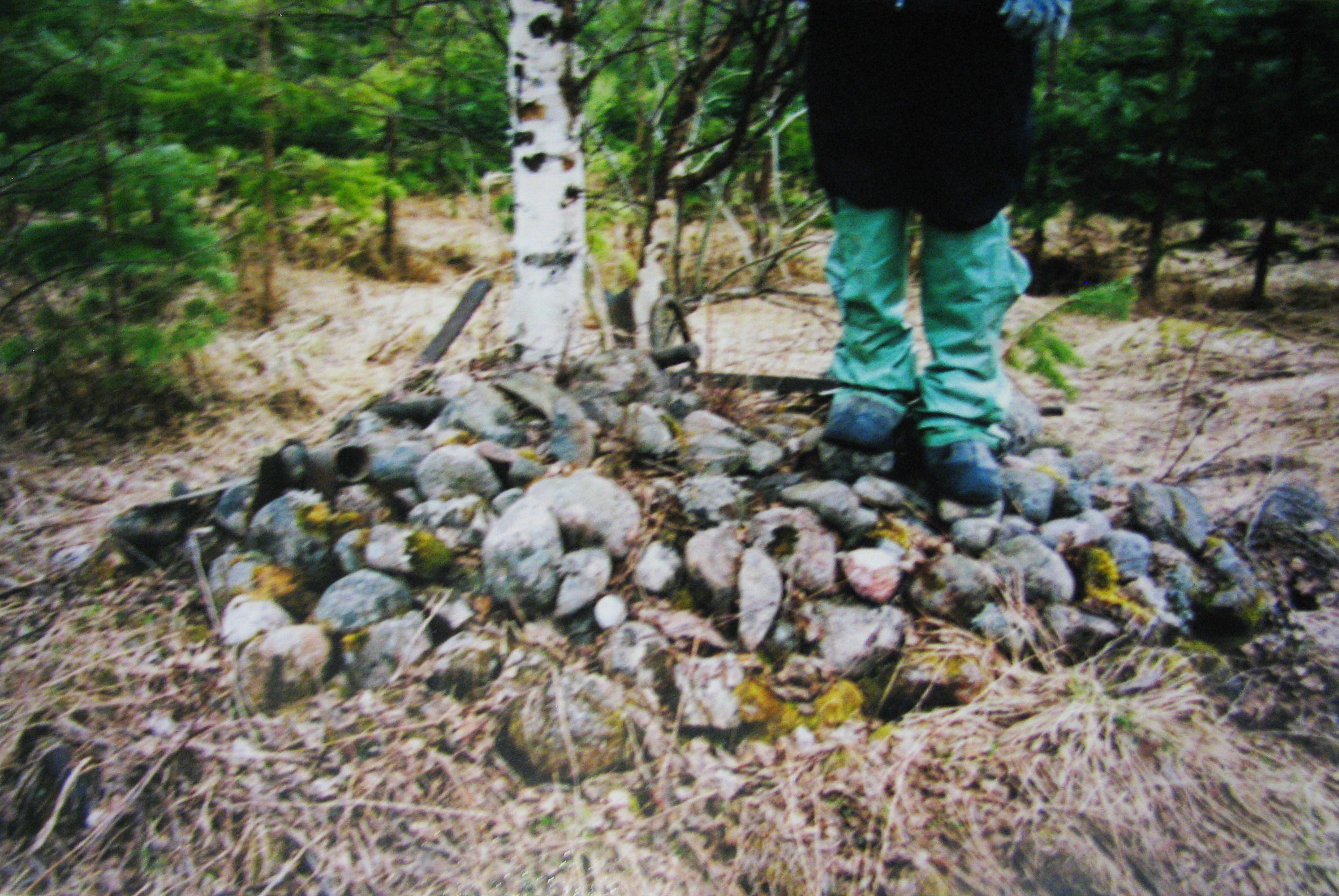 д. Мошничье. Подпорожский район Ленинградской области. Весна 2005.