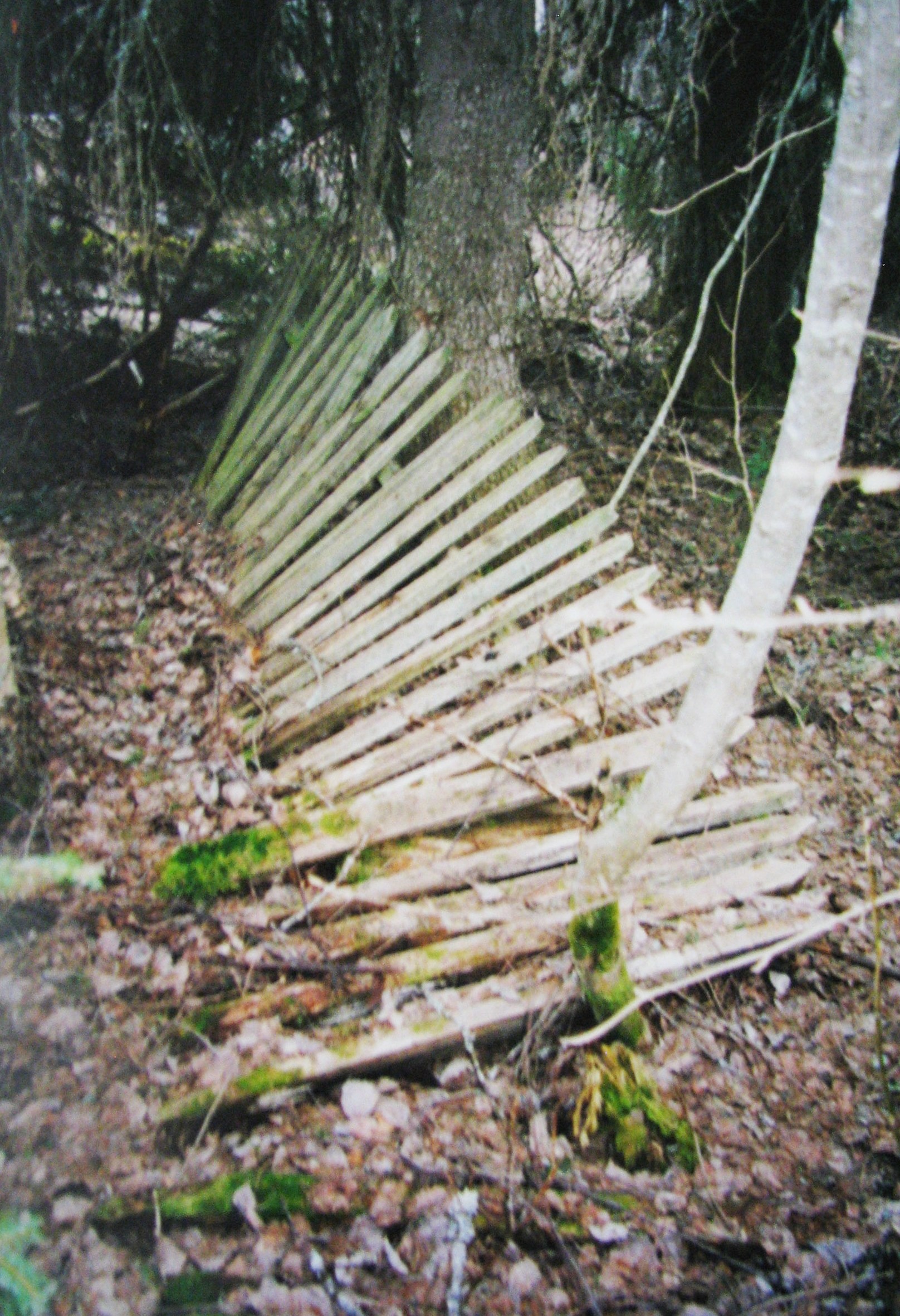 д. Мошничье. Подпорожский район Ленинградской области. Весна 2005.