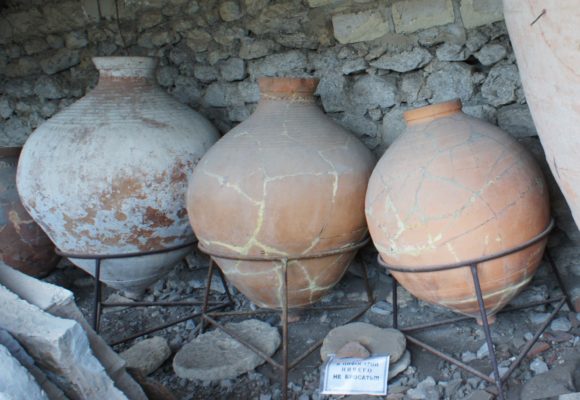 Украина, Крым, г. Севастополь, Херсонес. Весна 2013.