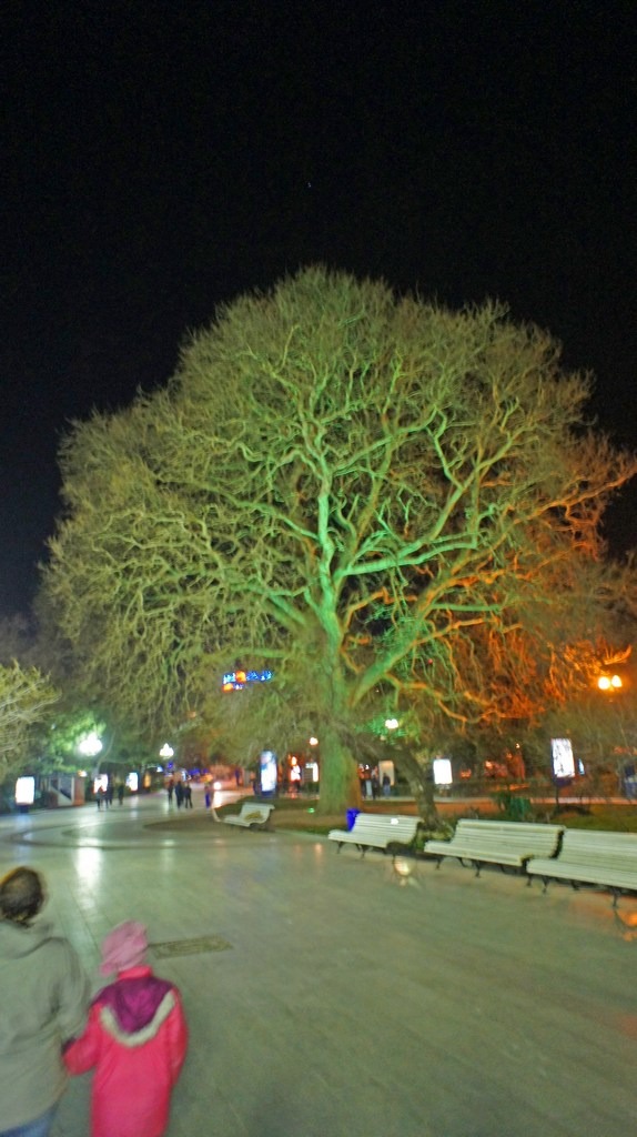 Украина, Крым, г. Ялта. Весна 2013.