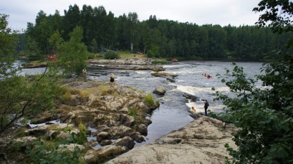 Пос. Матросы, Пряжинский район, респ. Карелия. Лето 2013.