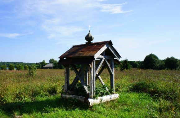 Респ. Карелия, Медвежьегорский р-н, ур. Яндомозеро. Лето 2013.