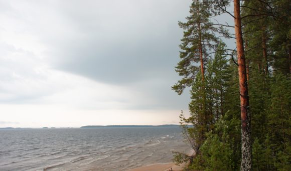 республика Карелия, Медвежьегорский район, село Челмужи. Лето 2013.