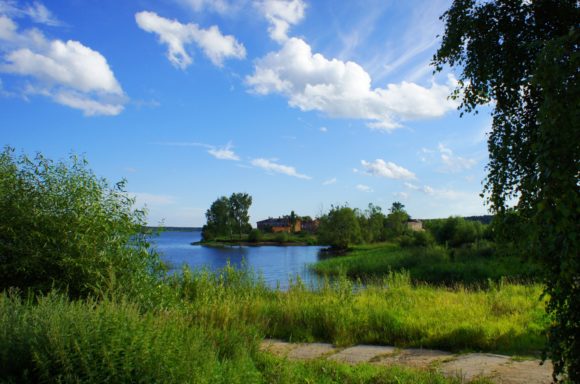 Ярославская область, Мышкинский район, г. Мышкин. Лето 2013.