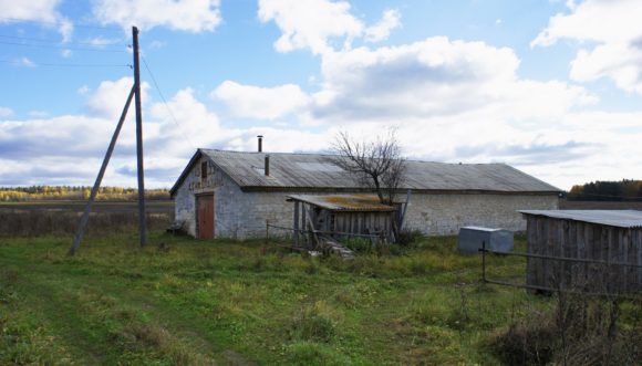 Владимирская область, Судогодский район, д. Бахтино. Осень 2013.
