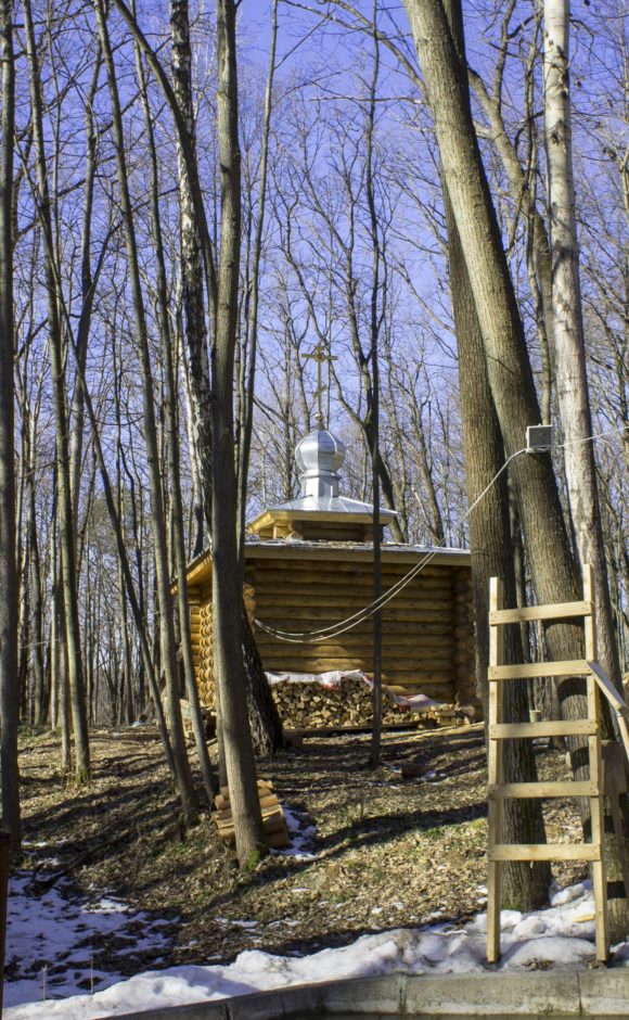 Тульская область, Алексинский район, деревня Егнышевка. Весна 2014.