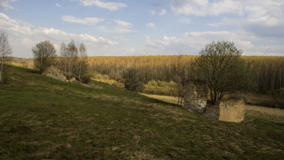 Калужская область. Весна 2014.