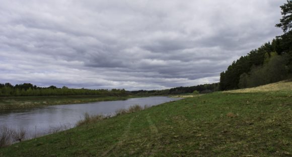 Тверская область, Старицкий район, р. Волга. Весна 2014.