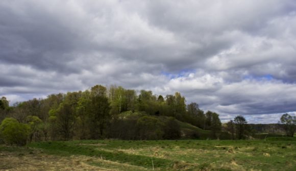 Тверская область, Старицкий район. Весна 2014.