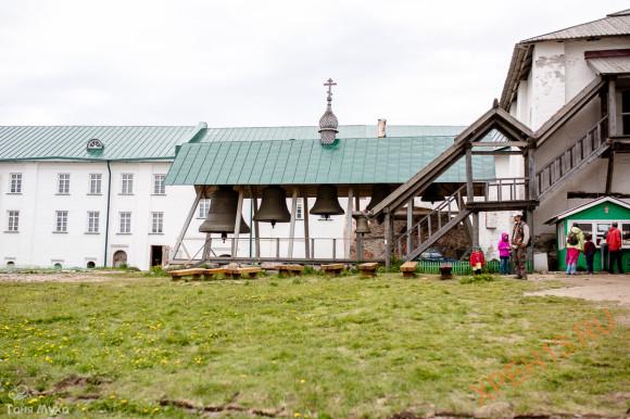 Архангельская обл., Приморский р-н., Соловецкие острова. Лето 2014.