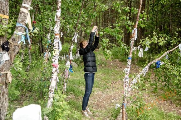 Полярный круг. Лето 2014. Полярный круг. Лето 2014.