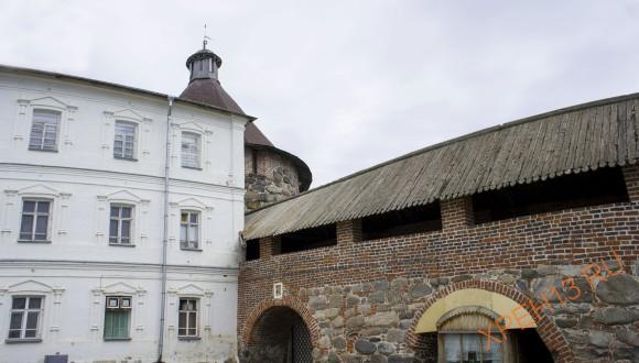 Архангельская обл., Приморский р-н., Соловецкие острова. Лето 2014.