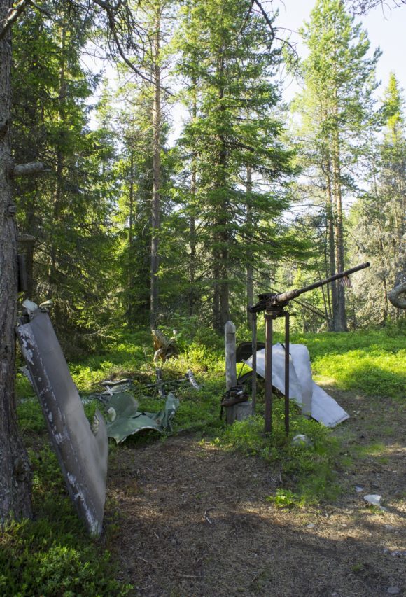 Кольский полуостров. Мурманская область, Умбский район, тоня Тетрино. Лето 2014.
