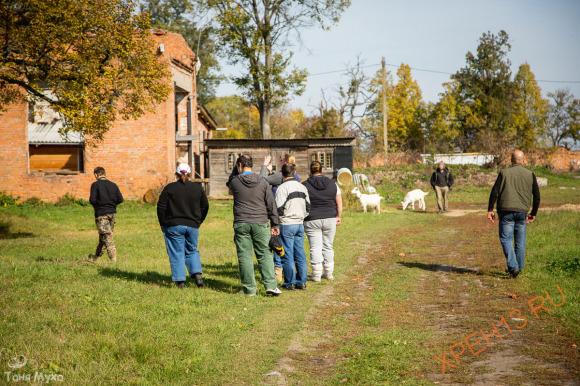 Тульская область, Суворовский район, с. Доброе. Осень 2014.