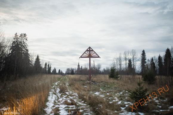Костромская обл., Солигаличский р-н. Осень 2014.