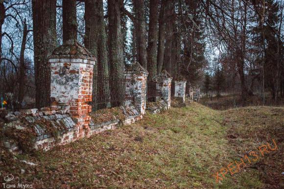 Костромская обл., Солигаличский р-н, д. Нероново. Осень 2014.