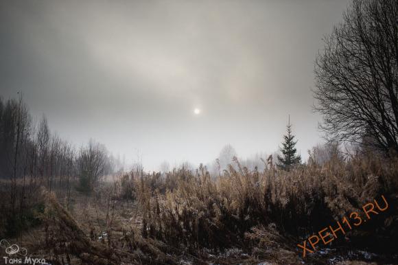 Костромская обл., Солигаличский р-н, ур. Высоково (Высоко). Осень 2014.