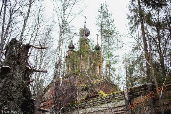 Костромская обл., Чухломский р-н., Николо-Остров. Осень 2014.