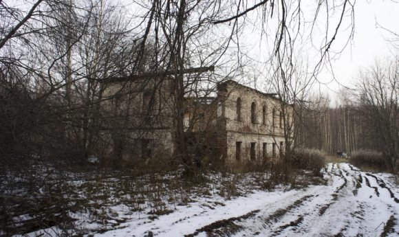 Костромская обл., Чухломский р-н., д. Жуково. Осень 2014.
