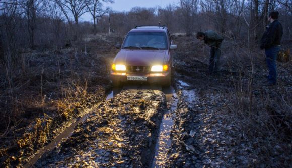 Воронежская область Борисоглебский район. Весна 2015.