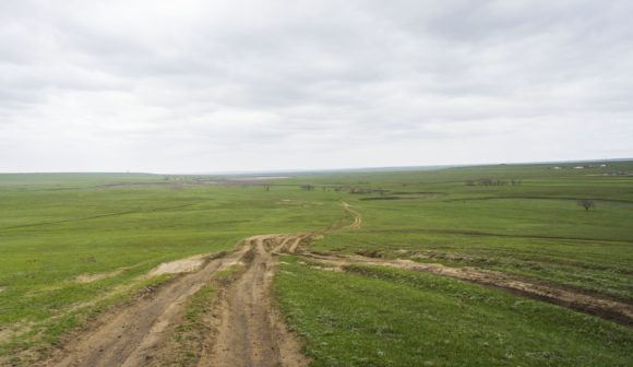 окрестности пос. Хар-Булук Целинного района респ. Калмыкия. Весна 2015.