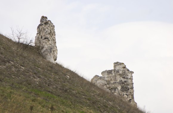 Воронежская обл., Лискинский р-н, с. Дивногорье. Весна 2015.