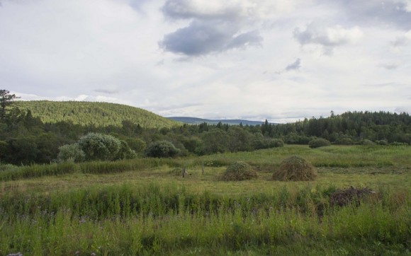 Белорецкий район, респ. Башкортостан. Лето 2015.