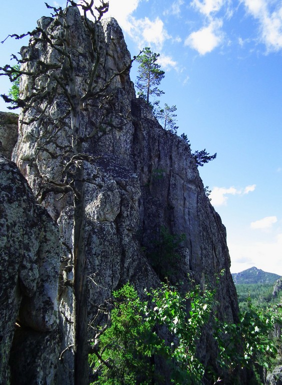 Инзерские Зубчатки, Белорецкий район, респ. Башкортостан. Лето 2015.