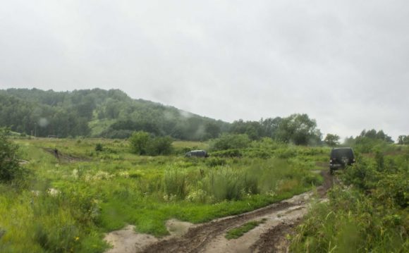Нижегородская область, г. Нижний Новгород. Лето 2015.