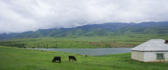 Киргизия. Весна 2016.