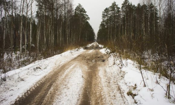 На маршрут мы заходили со стороны Петушков. Лесные дороги оказались подмерзшими. 