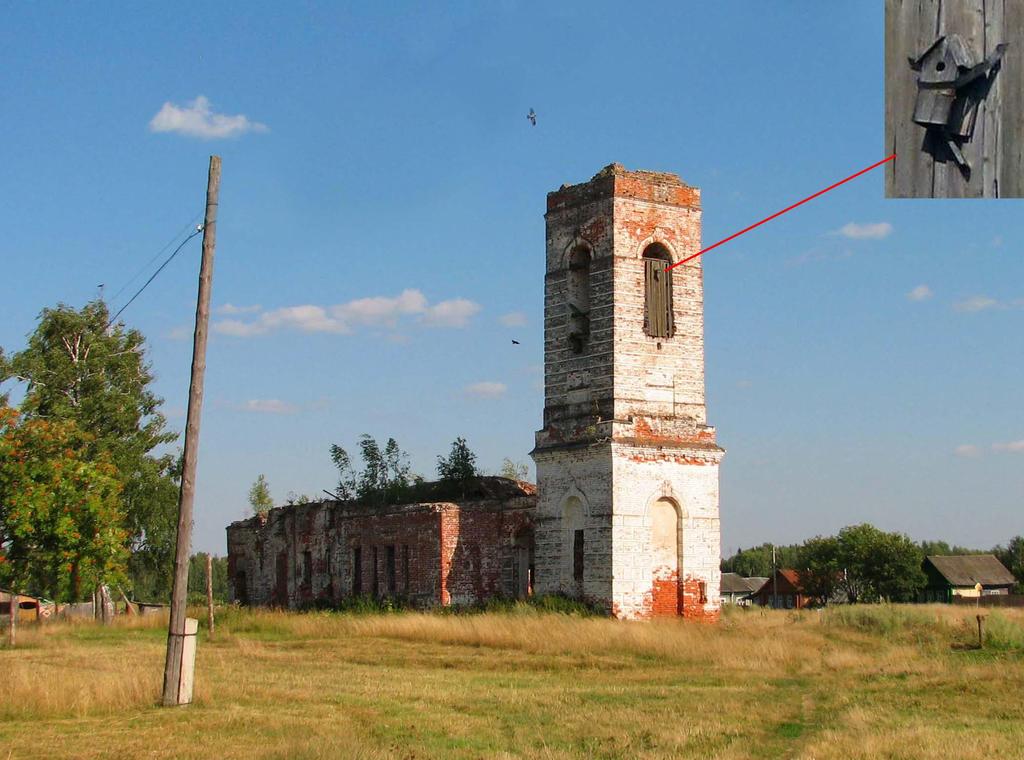 Владимирская область, Ковровский район, с. Санниково. Лето 2011.