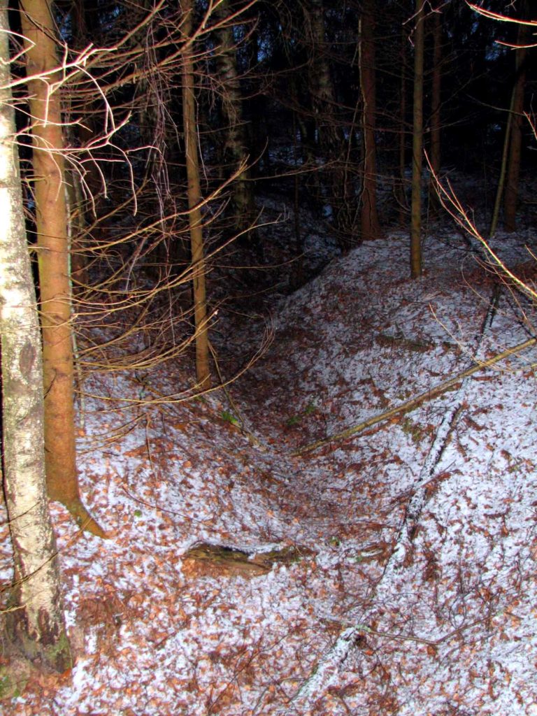 Древние курганы в лесу. Тверская область. Ноябрь 2008.