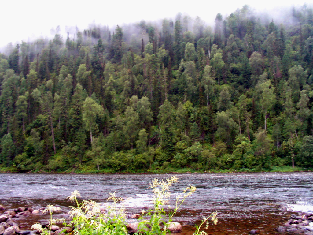 Горный Алтай. Бия. Лето 2004.